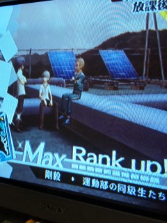 �y���\�i�S