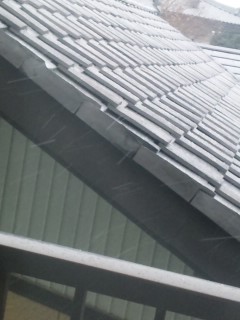 ��~���Ă񂶂��I�I�H