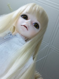 �E�B�b�O�͂���