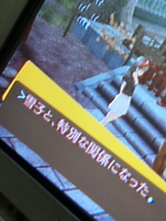 �y���\�i�S