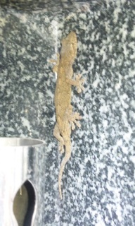 �C��������������