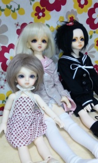 �������q����