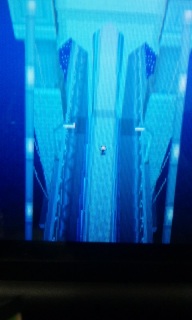 �|�P�����Ȃ�