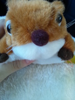 �������K�H