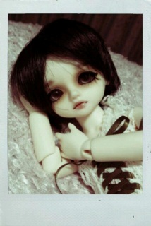 �|�����C�h�J����