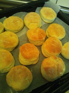 �X�R�[���H