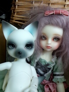 �v���U���