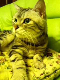 �����ɂ��