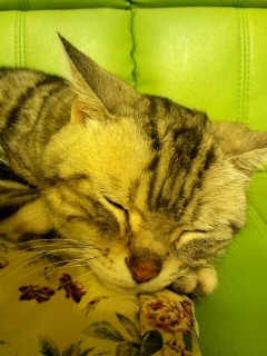 �����ɂ�[��I�I