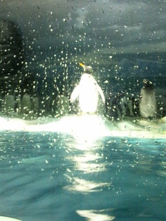 ���É��`������