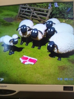 �Ђ��̃V���[��