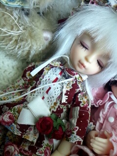 ��������