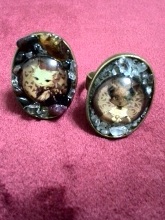 �A�C�h�[���험�i