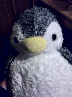 �y���M���J�t�F