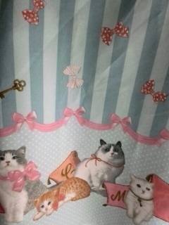 �N���V�J���L���b�g