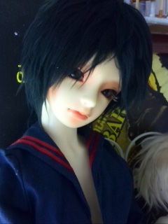 �����̃C�P�����̂悤���B