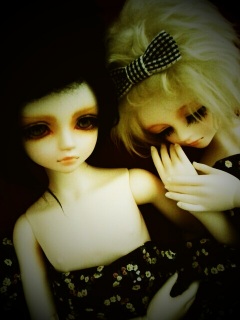 ������[�o�q