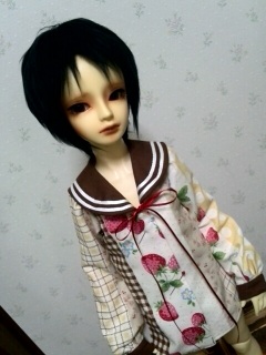 SD�Z�[���[