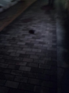 �Ƃ����傤�̂�������