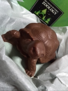 �J���`���R����I