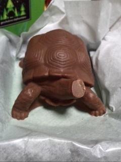 �h�[���I�I�I�I