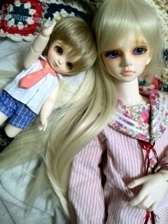 �~�V�F���Ɣ��ׂ����