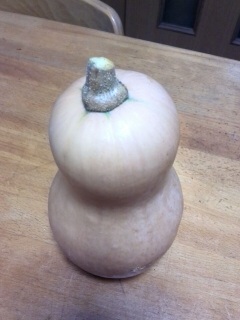 ���ڂ���