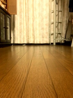 �����Y��ł��c