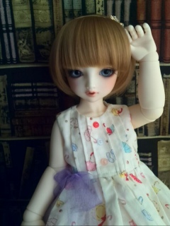 �V�g(^�x^)-��