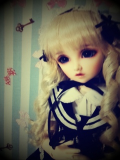 DSD�L�������Q