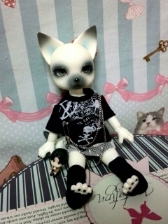 ��������