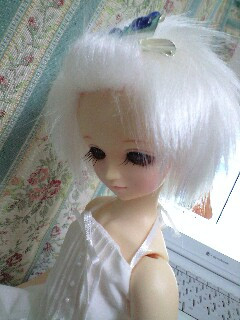 �ߋ��̔�������