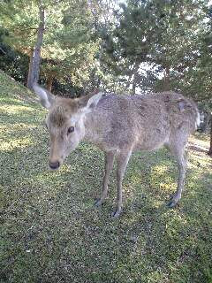 ������������