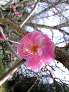 �O�d�_(^O^)�^