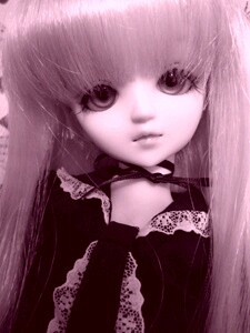 ���������[�I�I