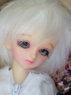 �ǂ����悤��