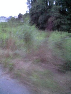 �u�����^(^O^)�_