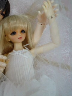 �����d�d