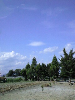 ���o��('A`)